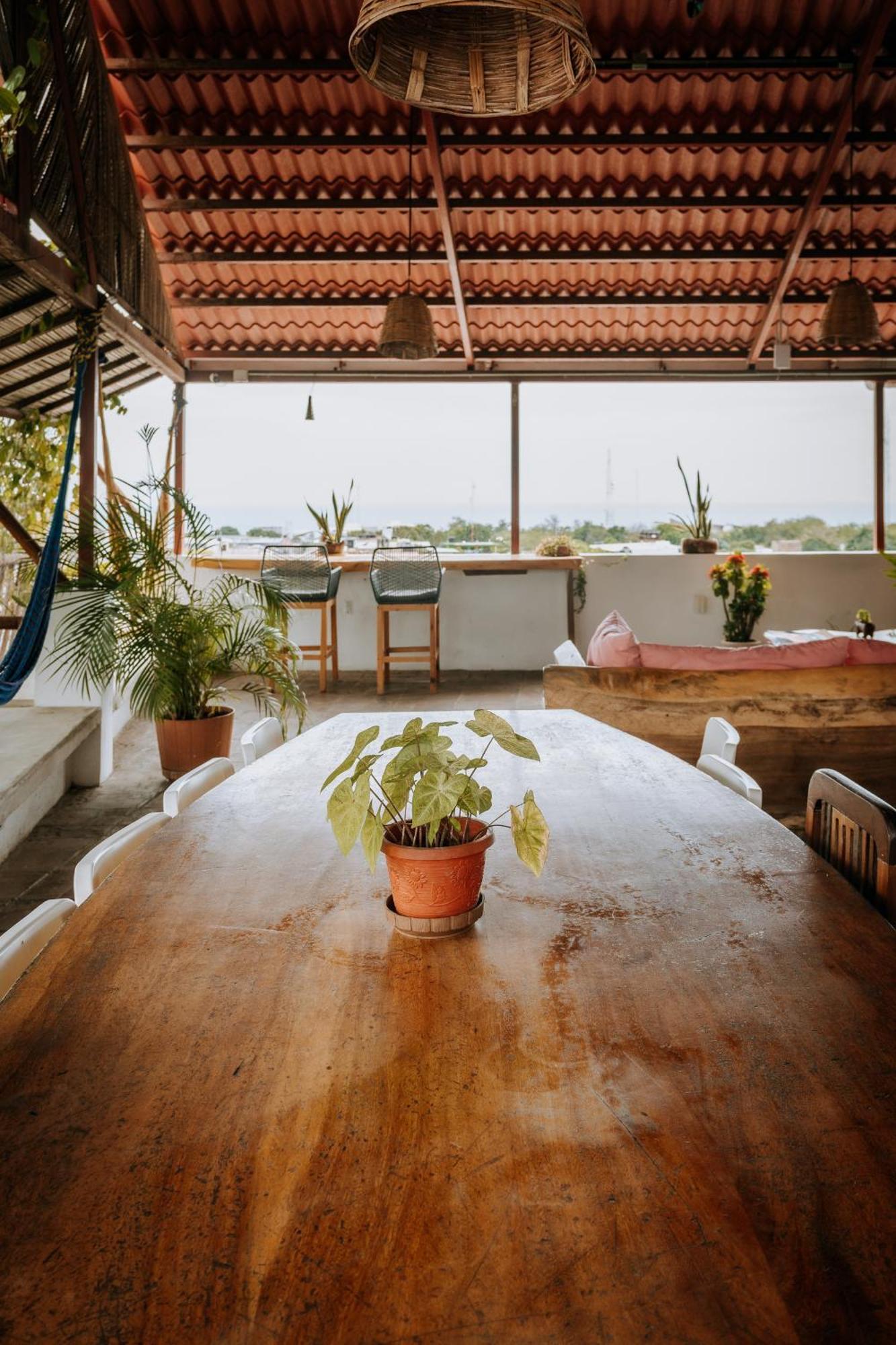 Terraza Puerto Hostel Puerto Escondido  Ngoại thất bức ảnh