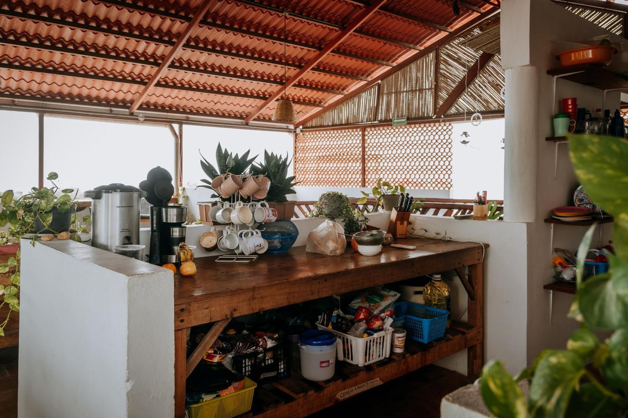 Terraza Puerto Hostel Puerto Escondido  Ngoại thất bức ảnh