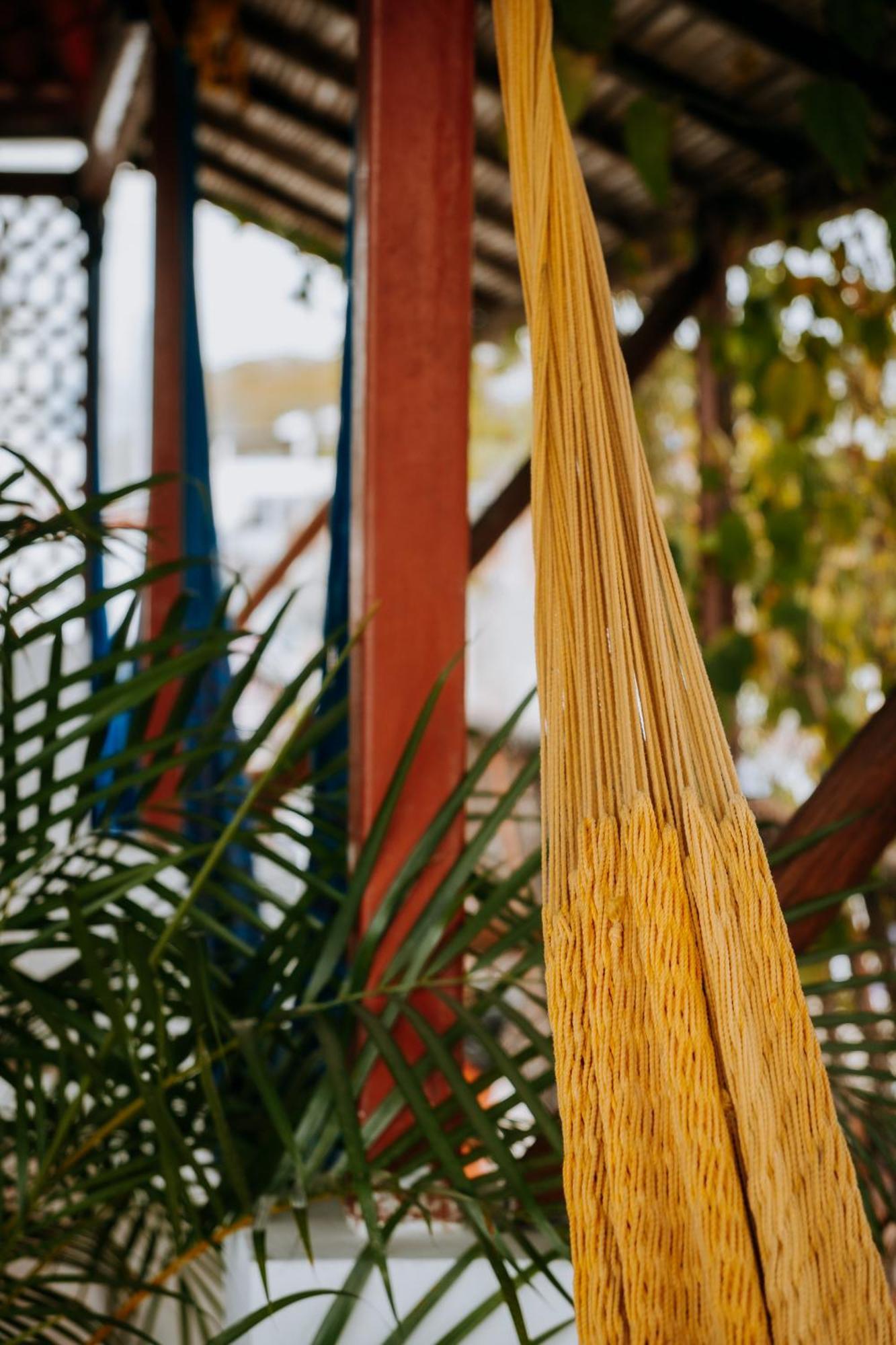 Terraza Puerto Hostel Puerto Escondido  Ngoại thất bức ảnh